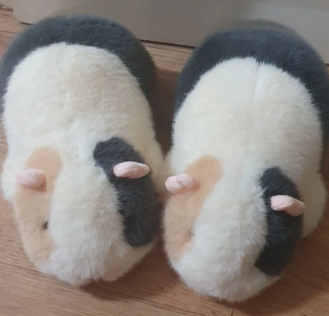 기니피그 인형 기니 기니피그
