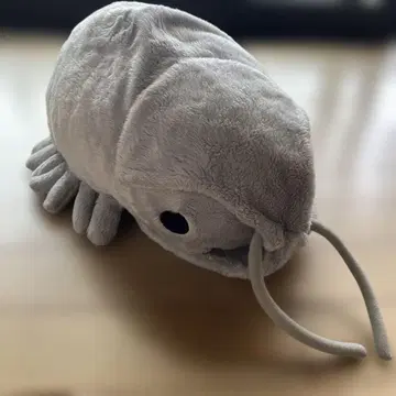 대왕쥐며느리 봉제 인형