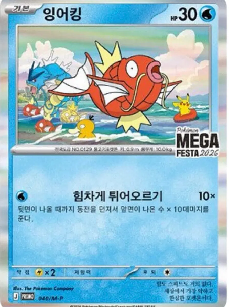 잉어킹스님 구매창
