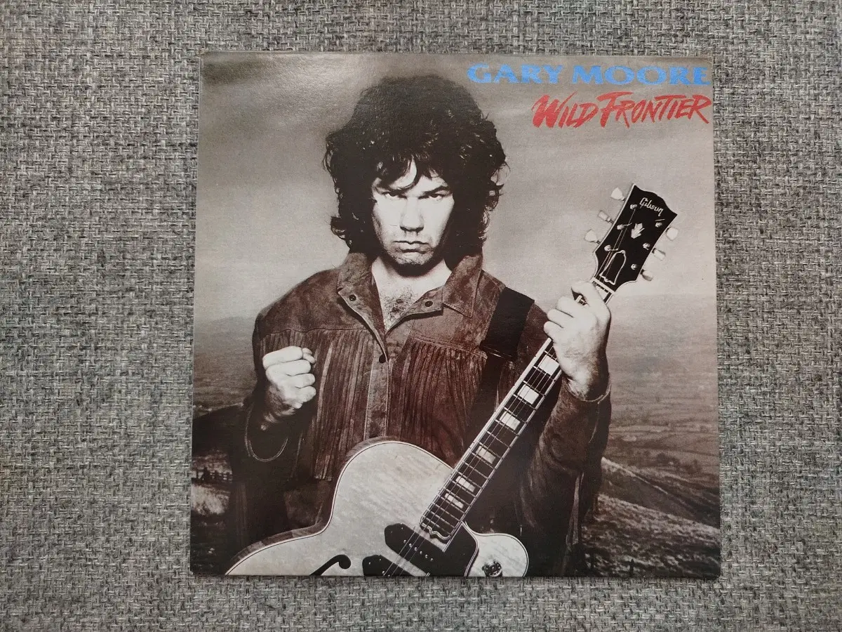 팝 락 LP 엘피 (Gary Moore - Wild Frontier)
