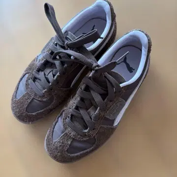 PUMA PALERMO 브라운 23.5cm
