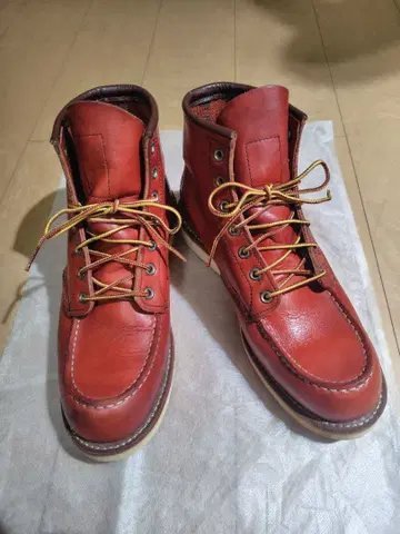 RED WING 8875 아이리쉬 세터 26cm