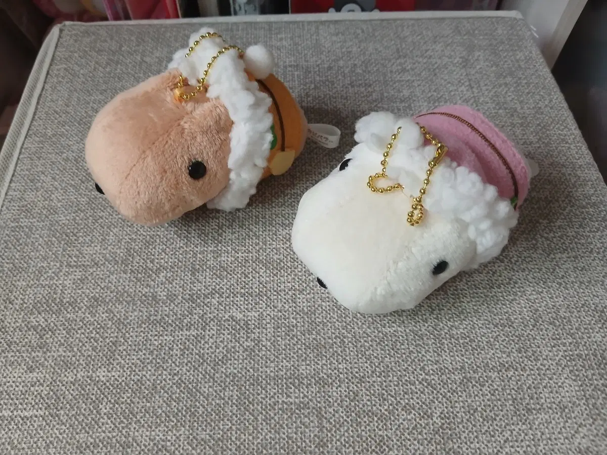 카피바라상 인형 겨울 후드 자켓 세트