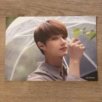 seventeen 준 엽서 dicon idealcut