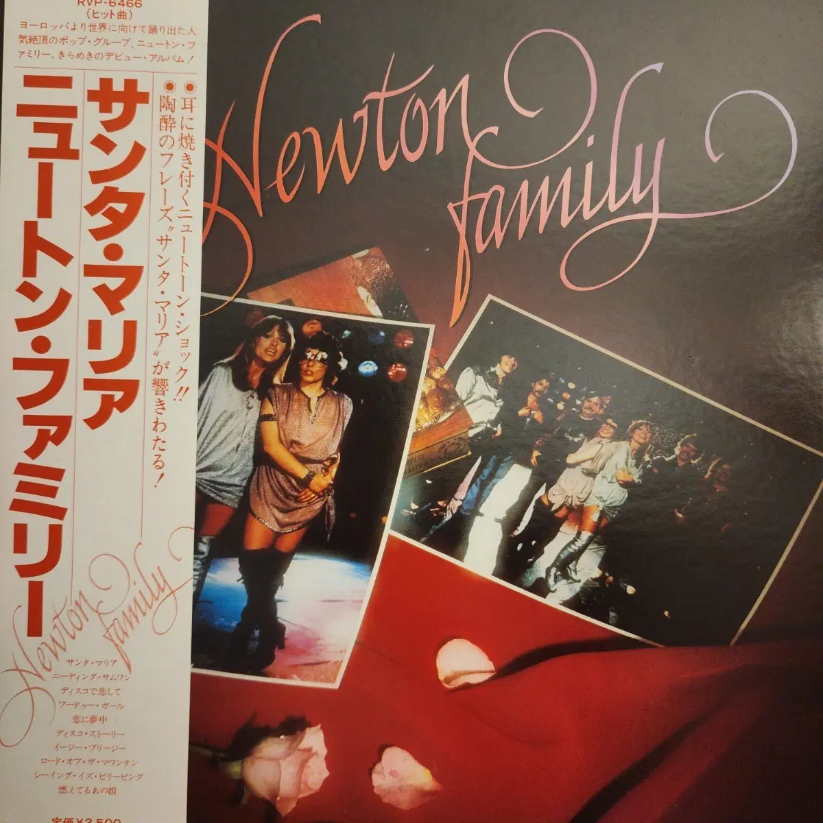 뉴턴 패밀리 Newton Family Santa Maria LP