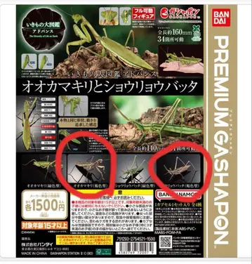 생물대도감 BANDAI 곤충 3종 세트 1500엔 가챠