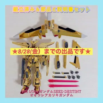 HG 1/144 건담 SEED DESTINY 오오와시아카츠키 건담
