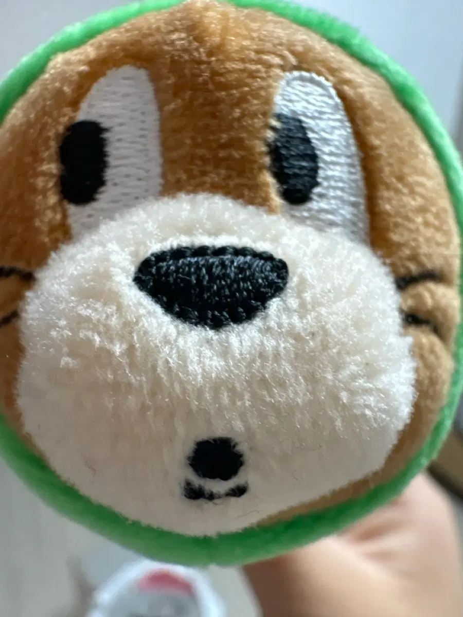 톰과제리인형완두콩초록색애벌레