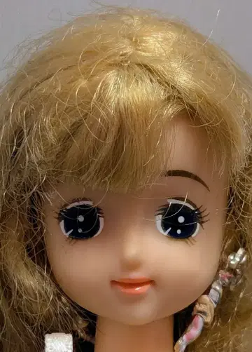 타카라 제니 프렌드 첼시