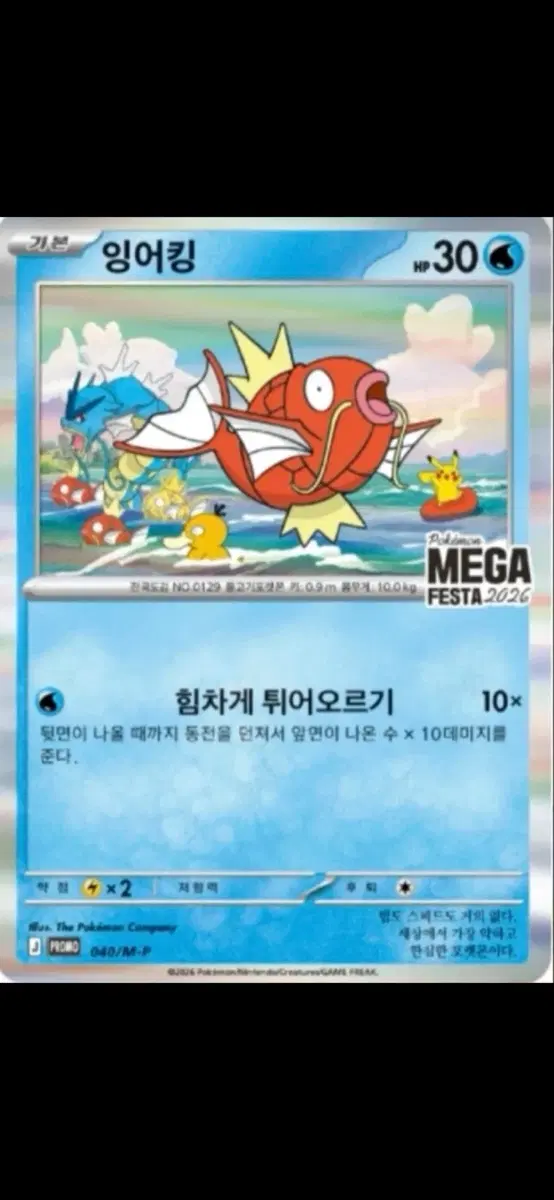 미개봉 잉어킹 프로모 3장 일괄판매 (당일발송)