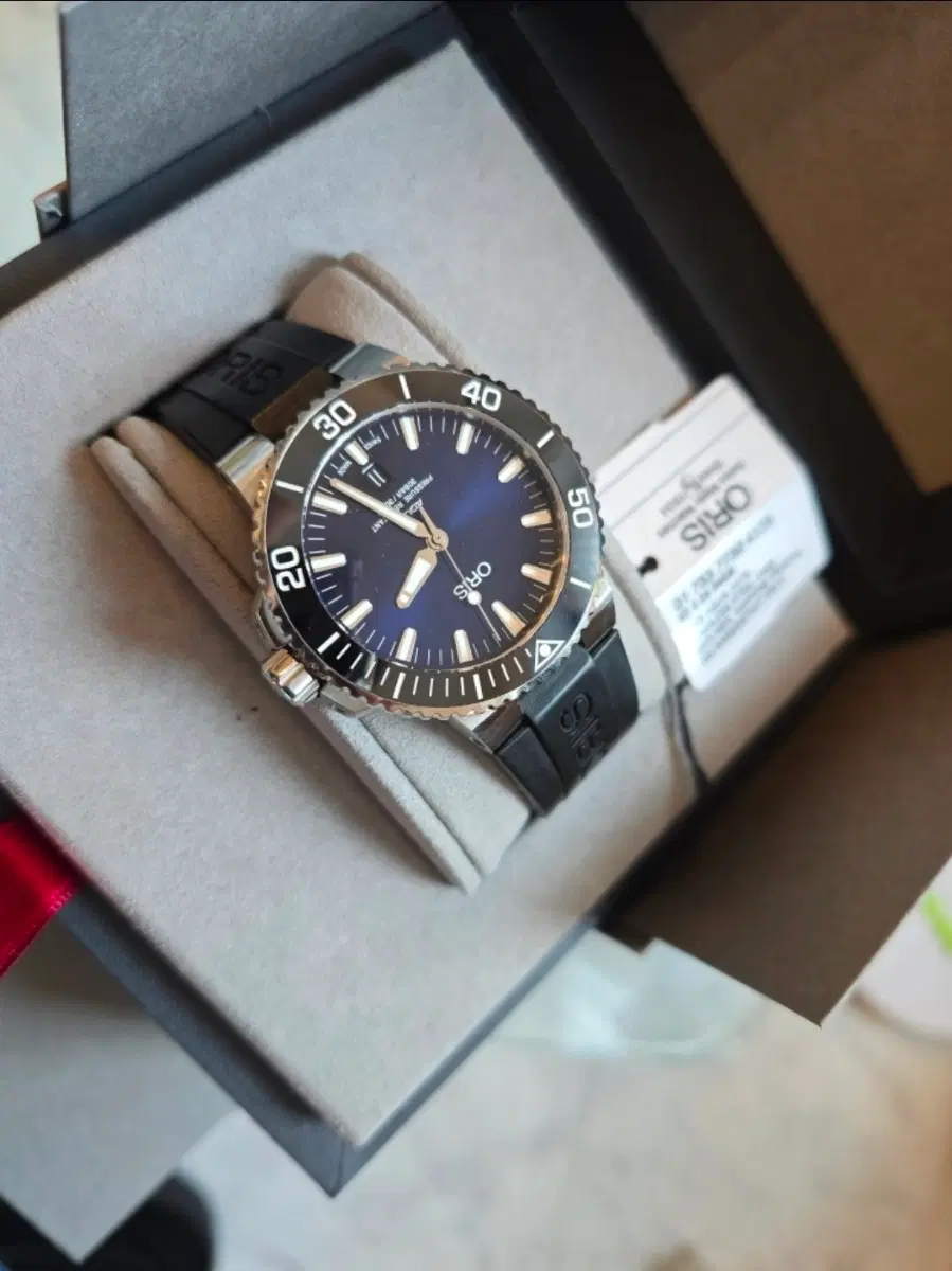 오리스 애커스 43mm