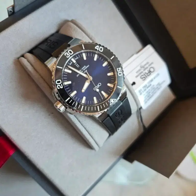 오리스 애커스 43mm