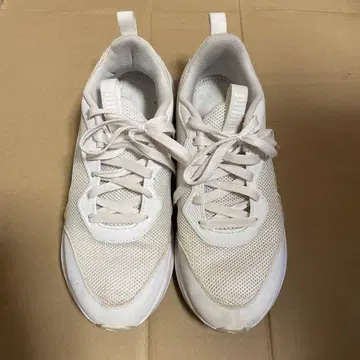 PUMA 화이트 스니커즈 남성용