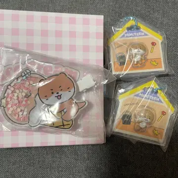 SEVENTEEN 세븐틴 세부치 MINITEEN 디노