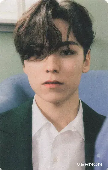 SEVENTEEN 혼자서는 안 돼 VERNON 트레이딩 카드