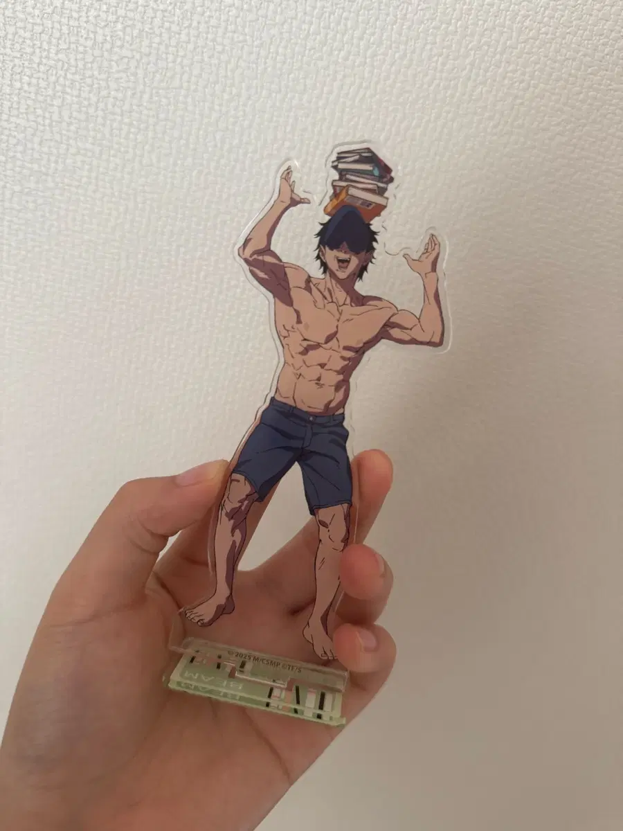 북 책 체인소맨 아크릴 빔