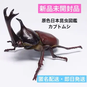 [미개봉 새상품] 원색 일본 곤충 도감 장수풍뎅이 피규어