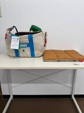 iCANDOR Peek-A-Boo Bag 숄더백