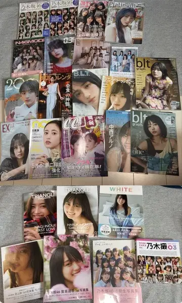 노기자카46 도서