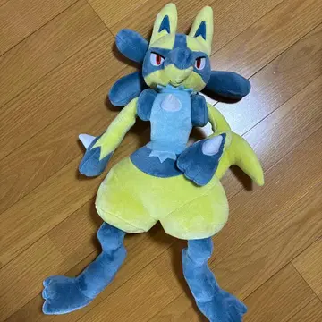 포켓몬 봉제 인형