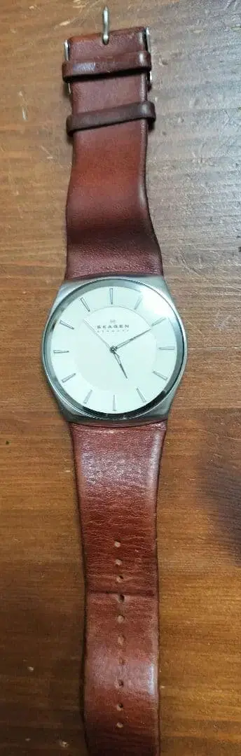 SKAGEN 손목시계 본체 브라운 가죽 배터리 방전
