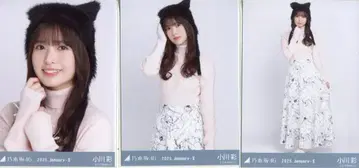 노기자카46 WebShop 한정판 오가와 아야 2025.January-II 고양이 귀 니트 모자 컴프