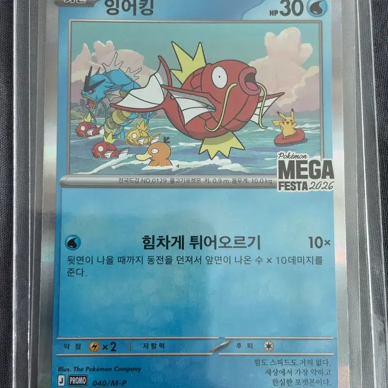 포켓몬카드 잉어킹 프로모 2026 PROMO magikarp(택포10.5만)