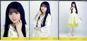 노기자카46 2025년 12월 랜덤 브로마이드 카와사키 사쿠라 부도덕한 여름 컴프