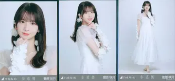 노기자카46 2025년 2월 랜덤 브로마이드 스가와라 사츠키 보도교 컴프