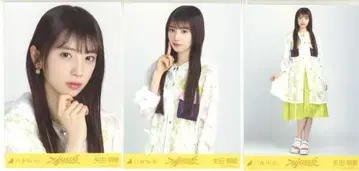 노기자카46 2025년 12월 랜덤 브로마이드 야타 모에카 부도덕한 여름 컴프