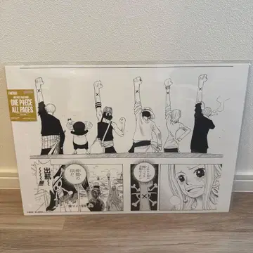 원피스 베이스샵 올 페이지 아라바스타 동료의 증표