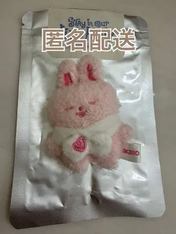 리빗 SKZOO micro 마이크로 딸기 리노 팬미팅 키링