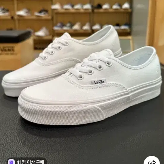 [ 285 ] 반스 어센틱 새상품