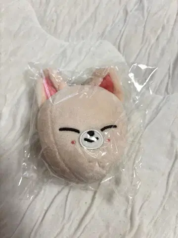Stray Kids 백참 아이엔 FoxI.Ny