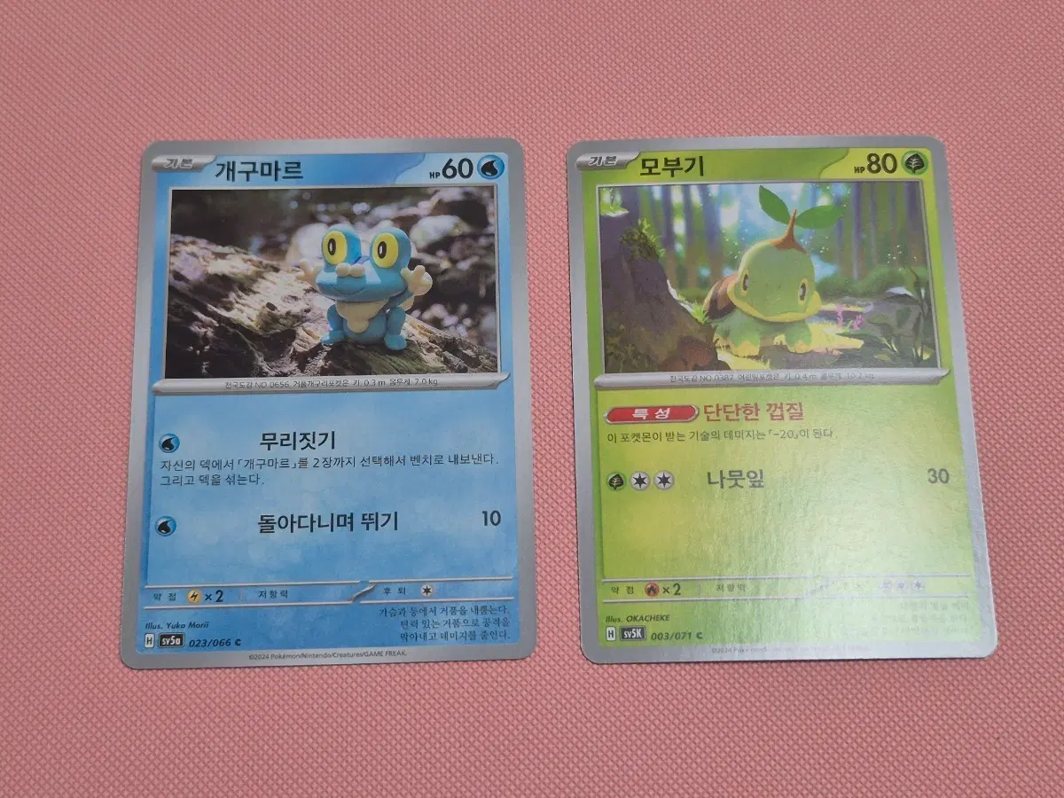 포켓몬 카드 개구마르 모부기 개별 가격