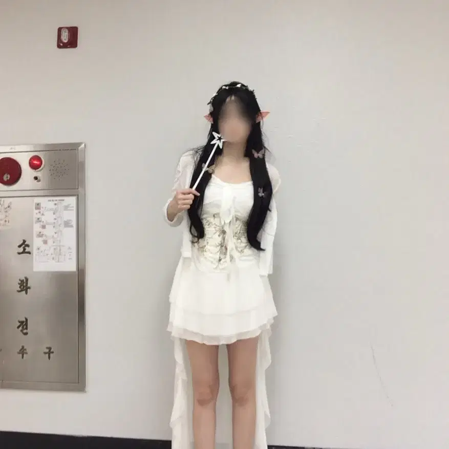 엘프 졸업사진 컨셉 대여
