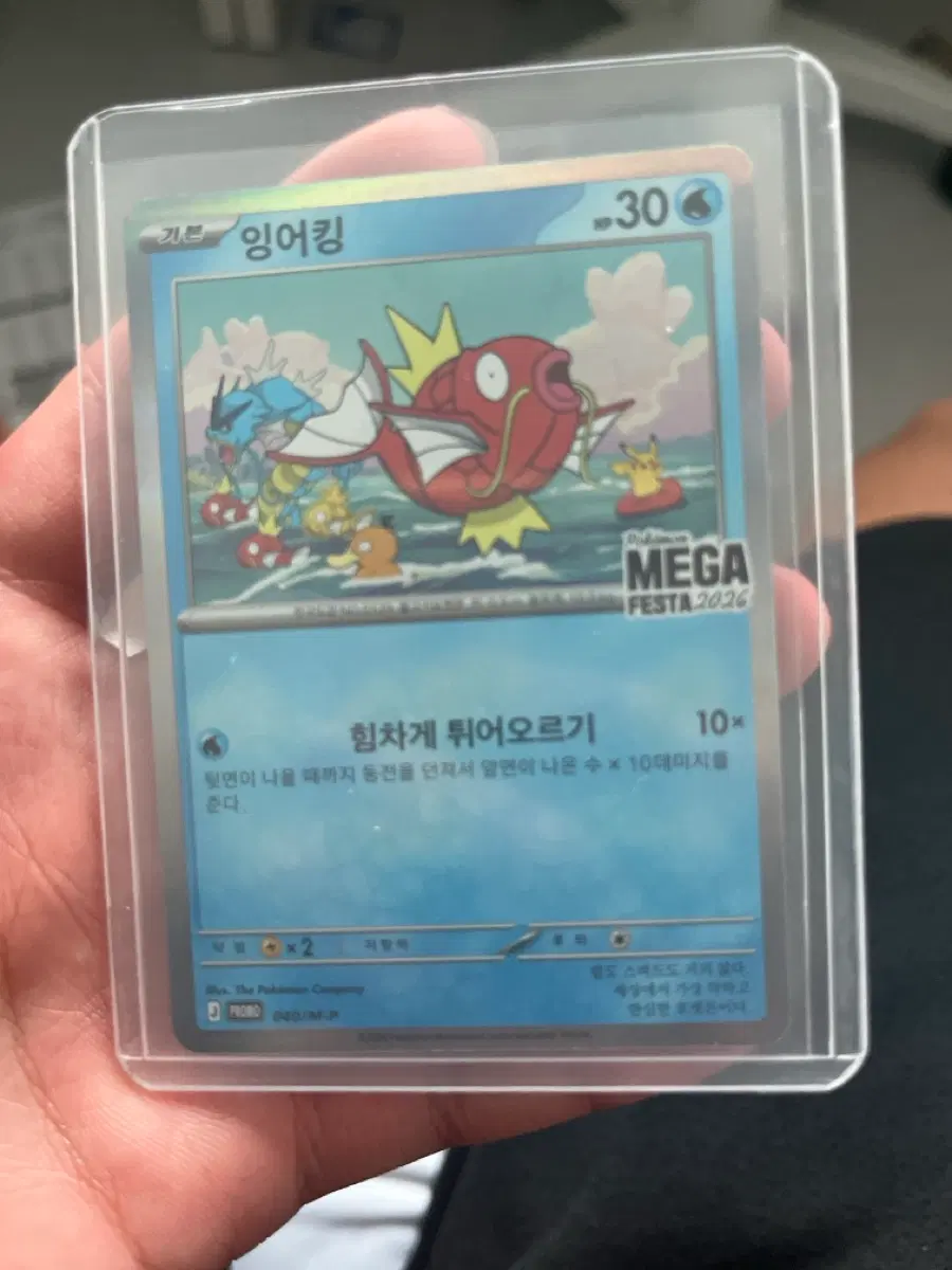 포켓몬 카드 잉어킹 MEGA FESTA 2026