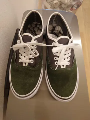 VANS x BOTANIZE 스니커즈
