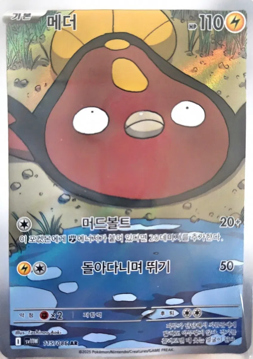 포켓몬카드 메더 AR