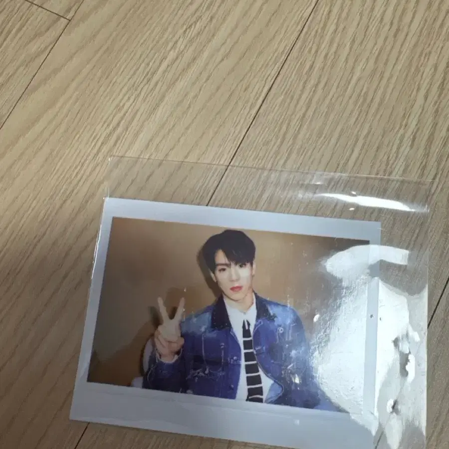 셔누 폴라로이드 최종가격