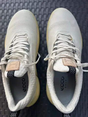 ECCO BIOM H4 골프화