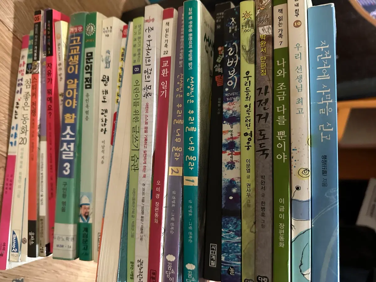 독서 책들
