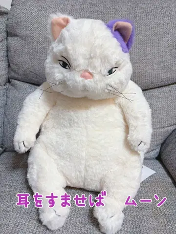 지브리 파크 한정판 문 봉제 인형 귀를 기울이면 미사용 새상품