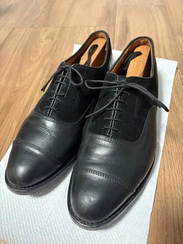 알렌 에드몬즈 Allen Edmonds 9D
