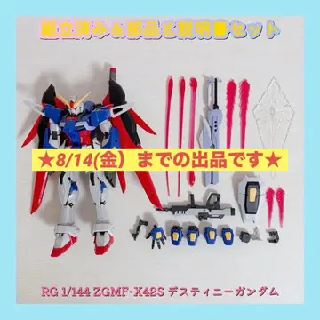 조립 완료 RG 1/144 ZGMF-X42S 데스티니 건담