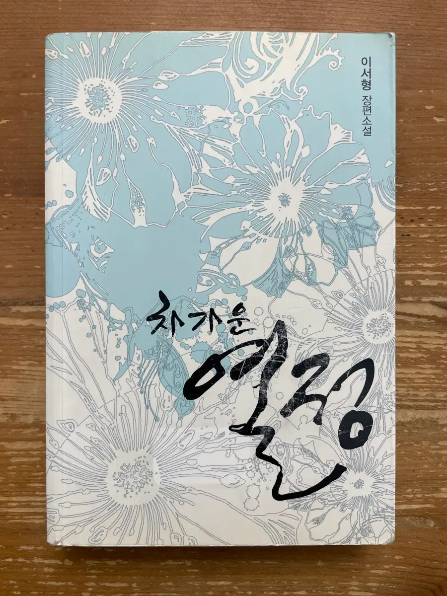 차가운 열정 - 이서형