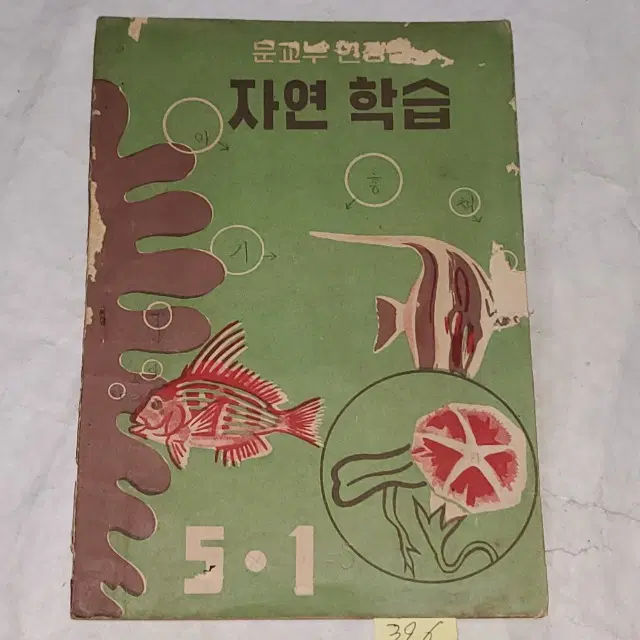 1339) 1960년대교육자료.4293년(1960년) 자연학습