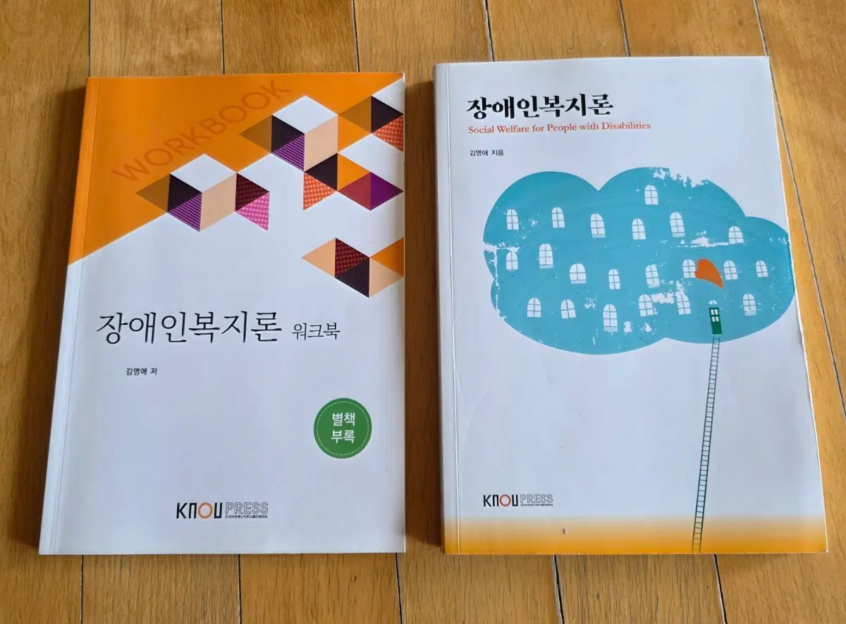 방통대교재-장애인복지론, 나눔의예술