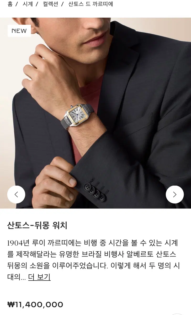 산토스-뒤몽 워치 라지