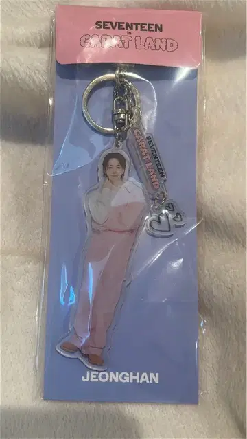 SEVENTEEN CARAT LAND 아크릴 키링 정한